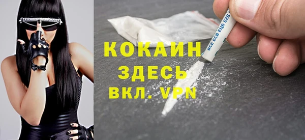 гидра Аркадак