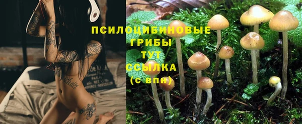 ГАЛЛЮЦИНОГЕННЫЕ ГРИБЫ Армянск