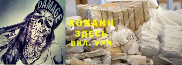 сатива Арсеньев