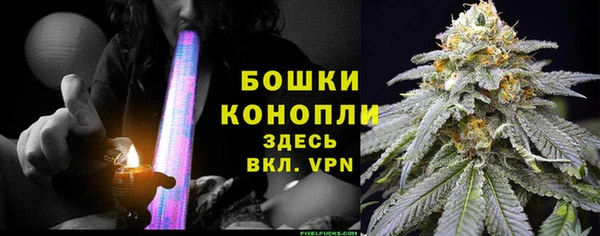 сатива Арсеньев