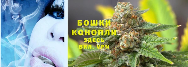 ГАЛЛЮЦИНОГЕННЫЕ ГРИБЫ Армянск