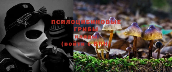сатива Арсеньев