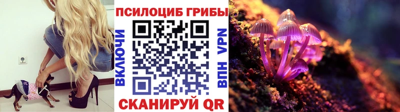 Псилоцибиновые грибы Magic Shrooms  где можно купить наркотик  Пустошка 